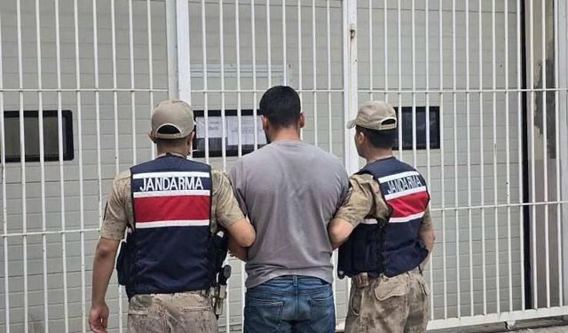Şanlıurfa'da Aranan İki Hükümlü Jandarma Operasyonuyla Yakalandı
