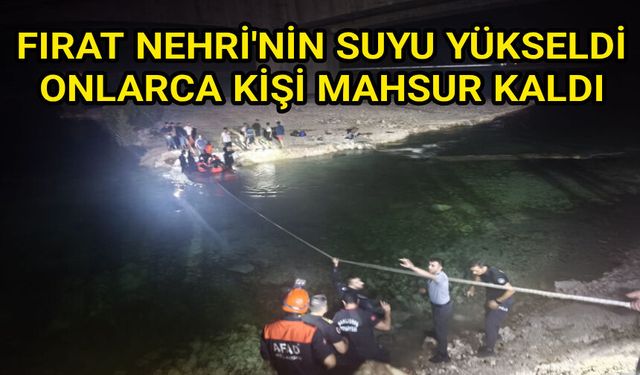 Bozova'da piknik kabusa dönüyordu!