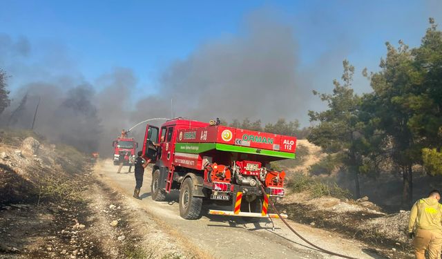 Şanlıurfa’da ormanlık alanda yangın!