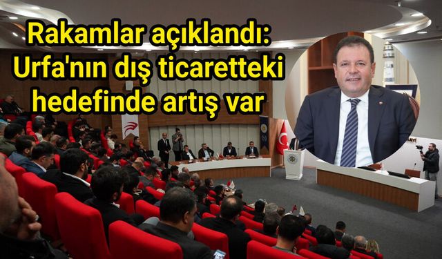 Rakamlar açıklandı: Urfa'nın dış ticaretteki hedefinde artış var