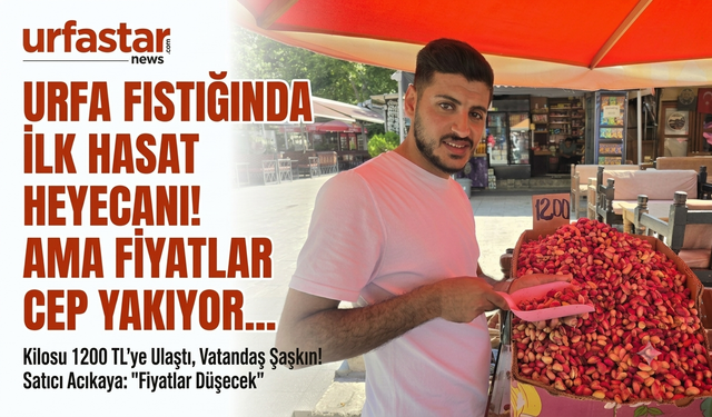 ŞANLIURFA’DA YILIN İLK FISTIK HASADI YAPILDI: BİN LİRAYI AŞAN FİYATIYLA TEZGAHTA YAKLAŞILMIYOR