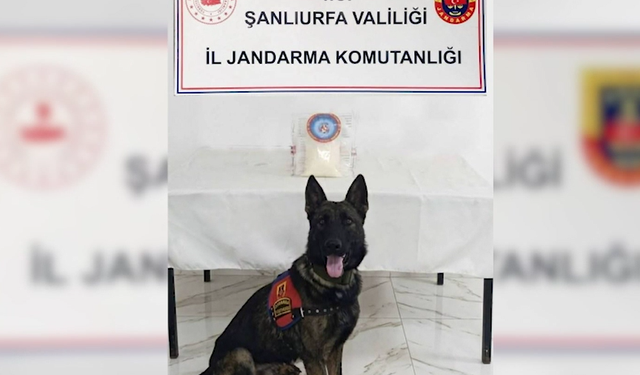 Birecik’te uyuşturucu operasyonu: 3 şahsa adli işlem