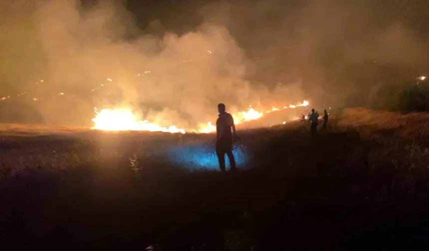 Eyyübiye'de orman yangını neden çıktı?