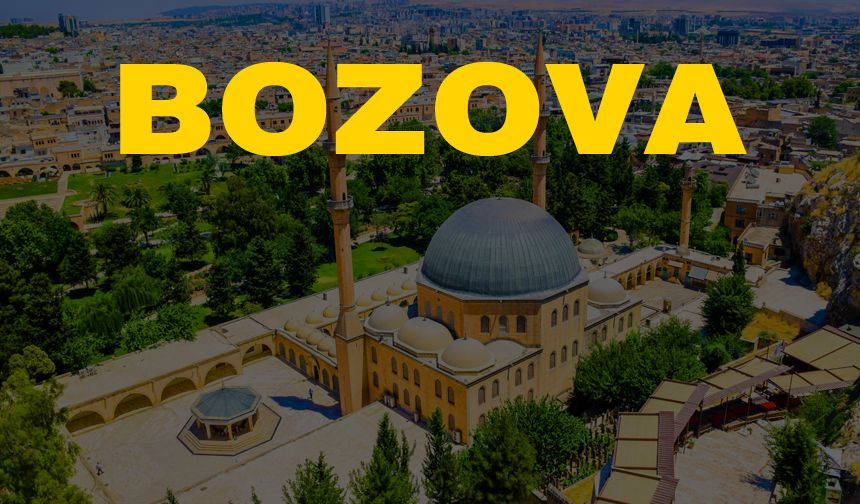 İşte Bozova'daki muhtarların telefon numaraları