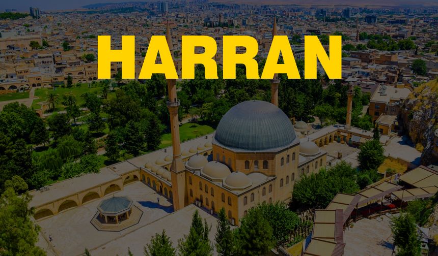 İşte Harran'daki muhtarların telefon numaraları