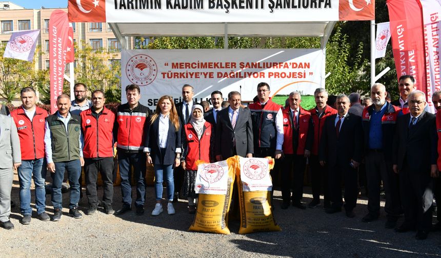 Vali Şıldak mercimek tohumu dağıtım programına katıldı