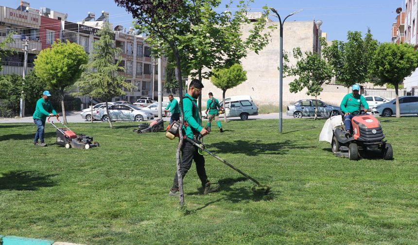 Haliliye'de parklar yaza hazırlanıyor