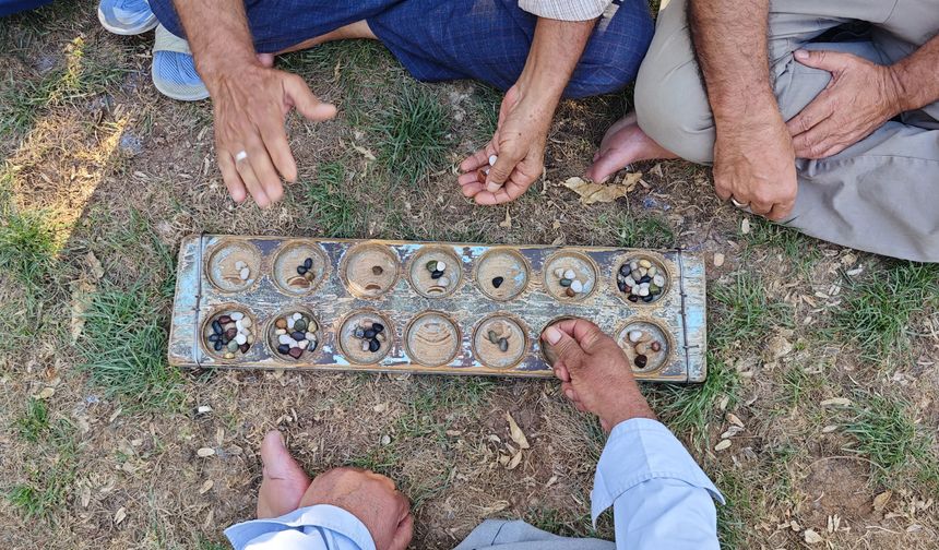 Gençler bilmez yaşlıların bu tutkulu oyununu...