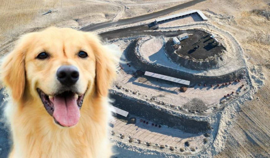 Birecik'te can dostlarının yeri hazır