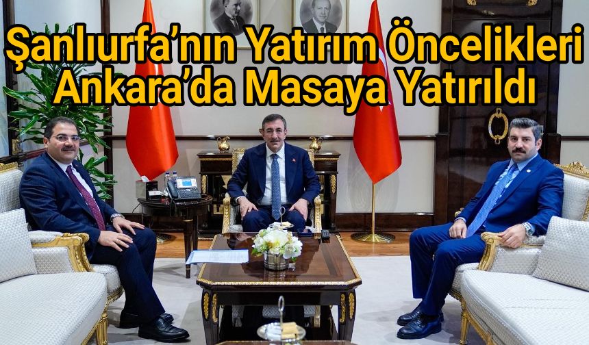 Eyyüpoğlu ve Canpolat Cumhurbaşkanı Yardımcısı Yılmaz'ı ziyaret etti