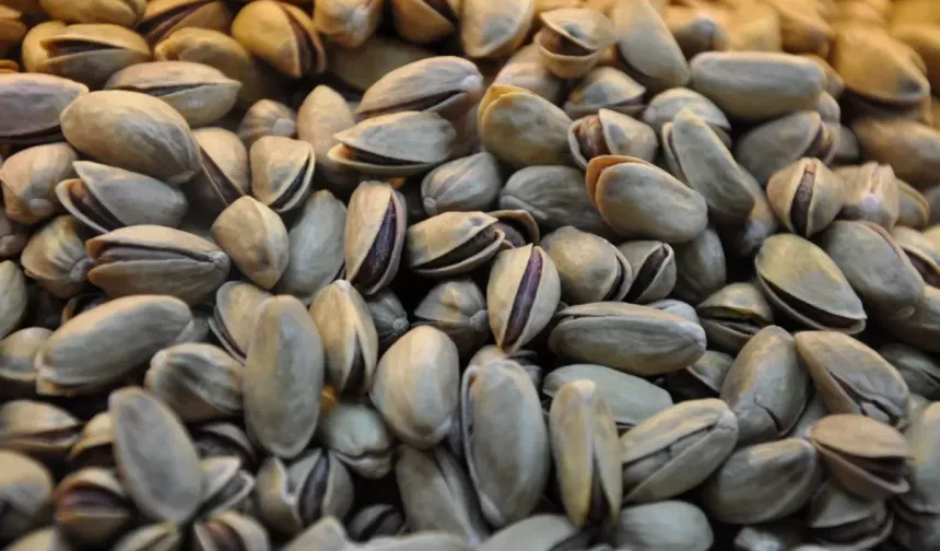 Fıstıkla ilgili önemli karar