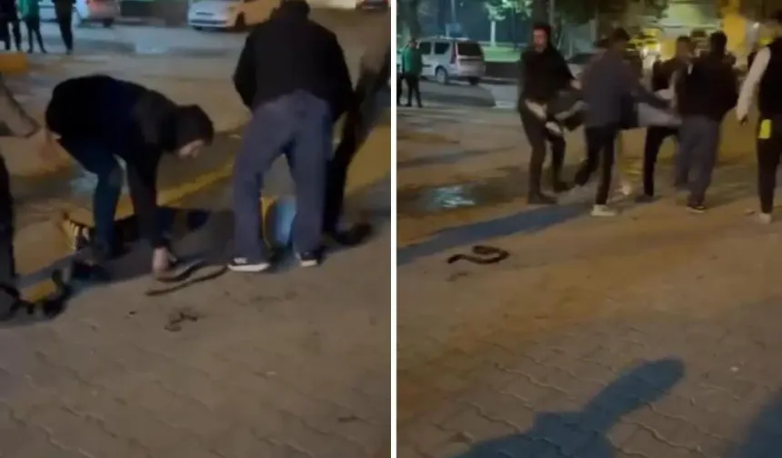 Urfa’da yine olay! Silahlar konuştu…