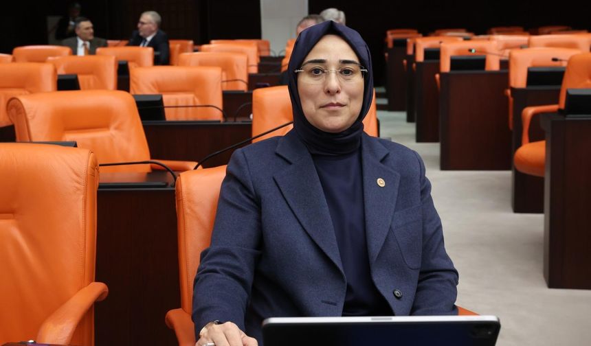 Ceylanpınar’da 60 Yıllık Mülkiyet Sorununa Çözüm Yolu Açılıyor