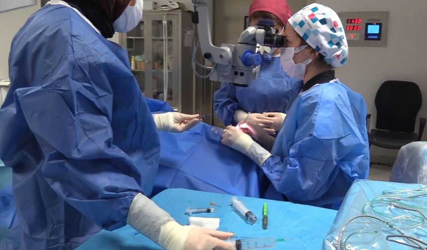 Katarakt Tedavisinde Erken Tanı Hayat Kalitesini Yükseltiyor