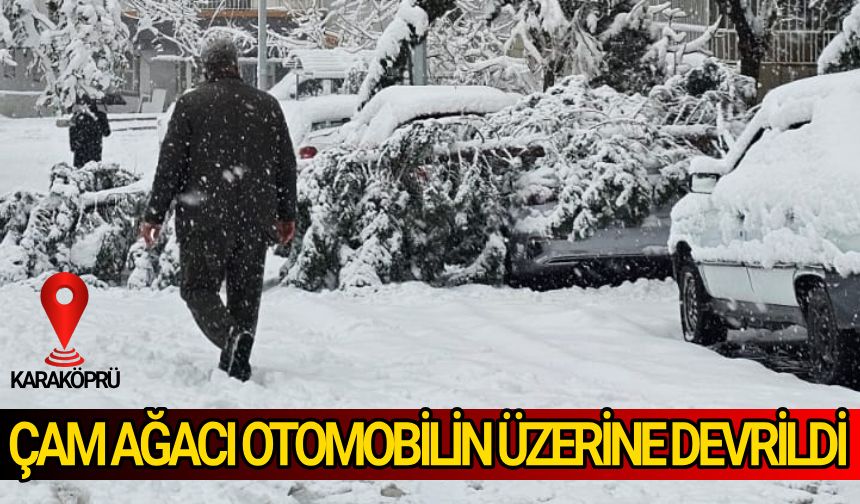 Araçta kimsenin olmaması sevindirdi