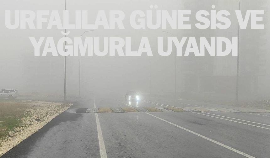 Urfalılar güne sis ve yağmurla uyandı