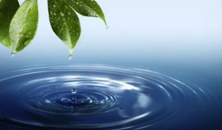 Cemrenin ikincisi suya düştü