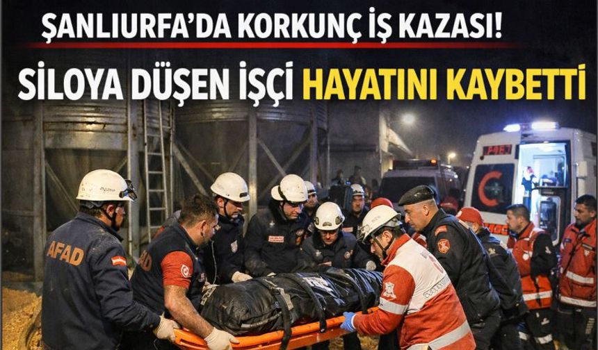 Urfa'da mısır filosu can aldı!