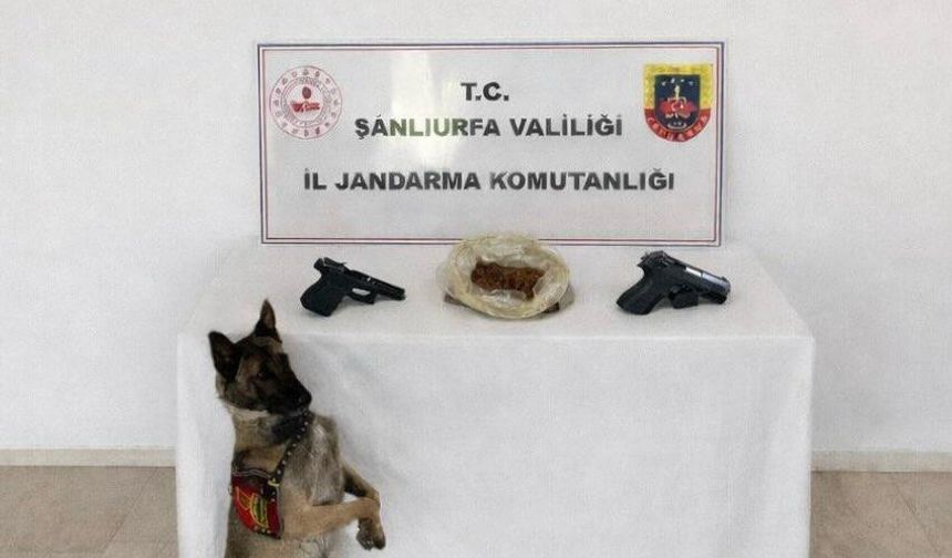 Eyyübiye’de Narkotik Operasyonu: Uyuşturucu ve Silah Ele Geçirildi