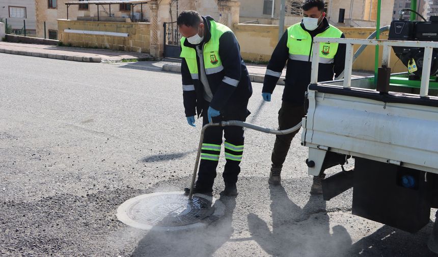 Büyükşehir’den sivrisinek ve haşerelere karşı yoğun mesai