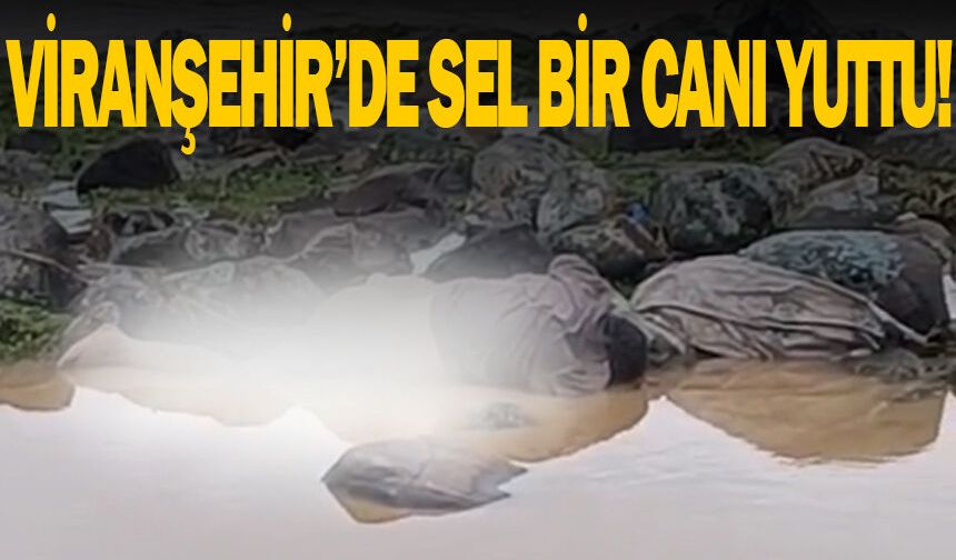 Viranşehir’de Derede Erkek Cesedi Bulundu