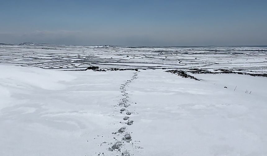 Burası Erzurum Değil Siverek...