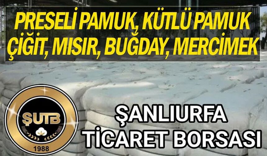 Şanlıurfa’da Pamuk ve Mısır İşlemleri Dikkat Çekti