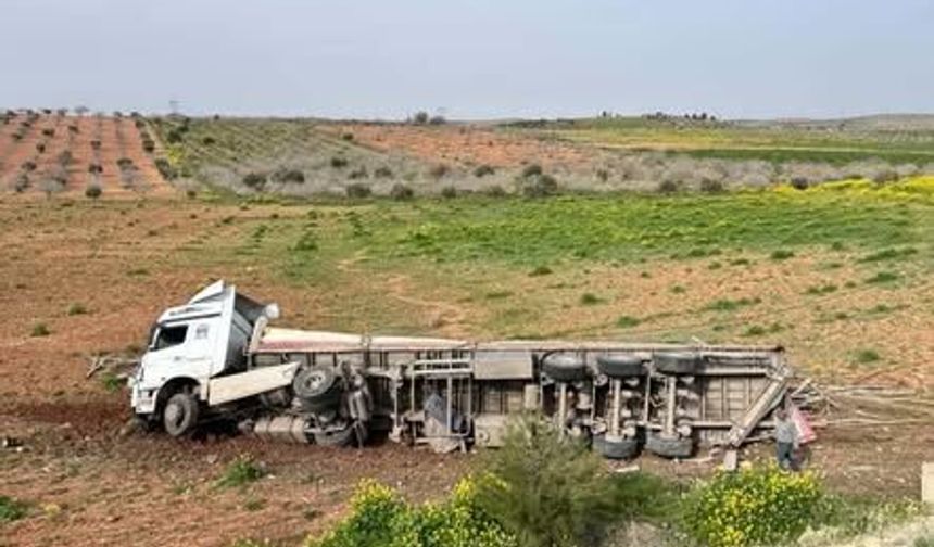Şanlıurfa’da tır yol kenarındaki tarlaya devrildi