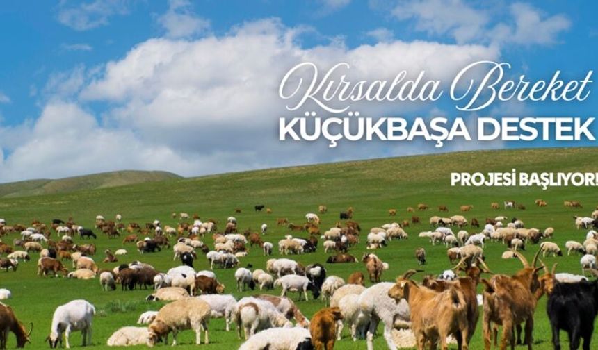 Urfalı besicilere müjde! Başvurular başlıyor