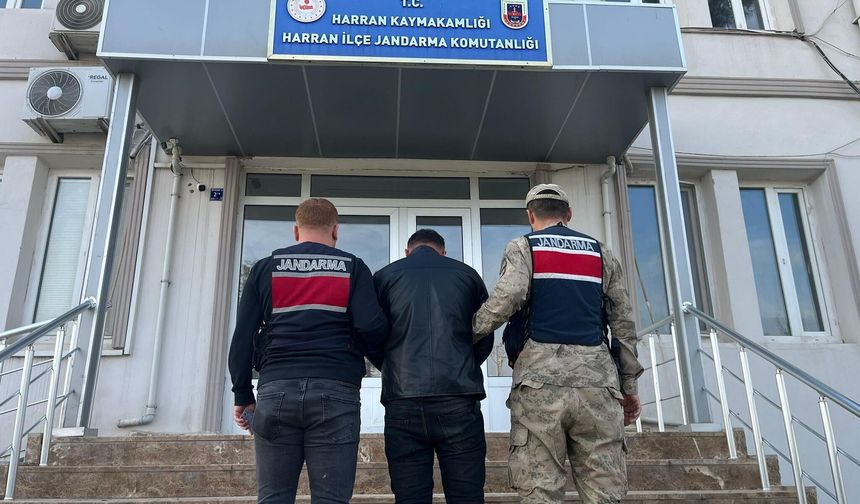 Jandarmadan nokta operasyon! Yakalandı