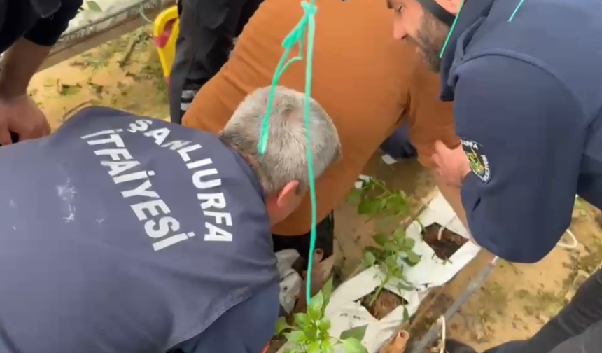 Şanlıurfa’da iş kazası: Demir parçası gencin vücuduna saplandı