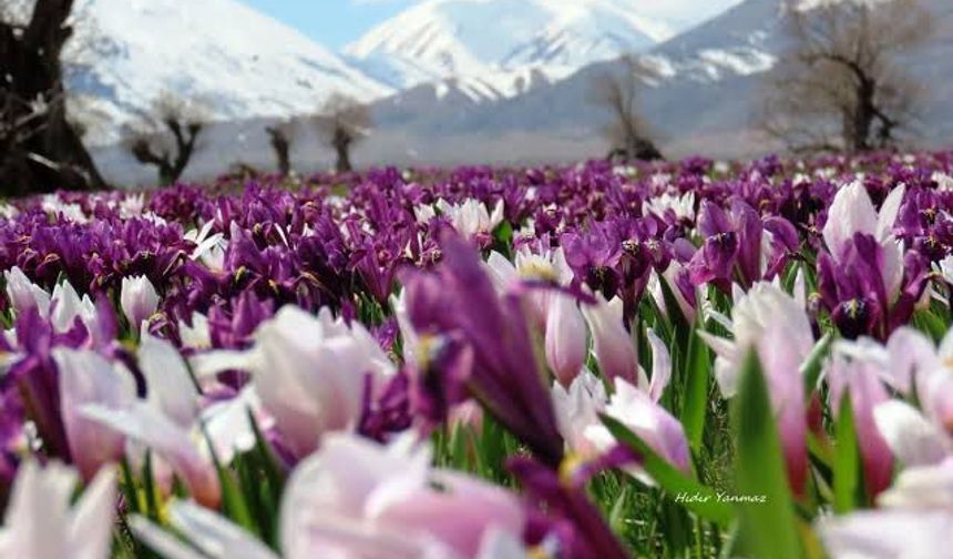 Tunceli’de Urfalı müdürden gururlandıran adaylık!