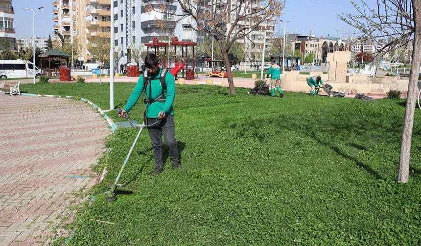 Haliliye Belediyesi’nden park ve yeşil alanlarda bakım seferberliği