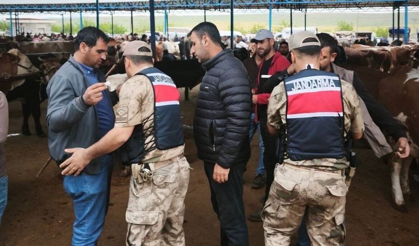 Şanlıurfa'da Jandarma bayram öncesi alarmda!