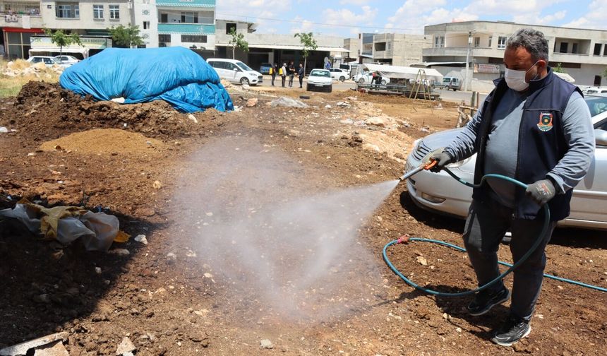Büyükşehirden kurban satış noktaları yakınlarında ilaçlama çalışması