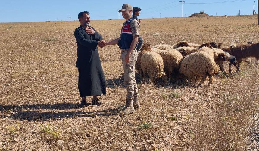 Günlerdir kayıp olan 17 küçükbaş drone ile bulundu