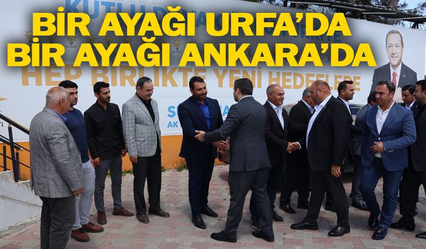 Vekil Eyyüpoğlu Eyyübiye'de...