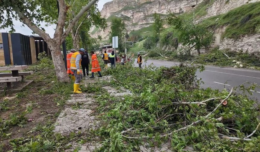 Viranşehir ve Birecik’te hayat normale dönüyor