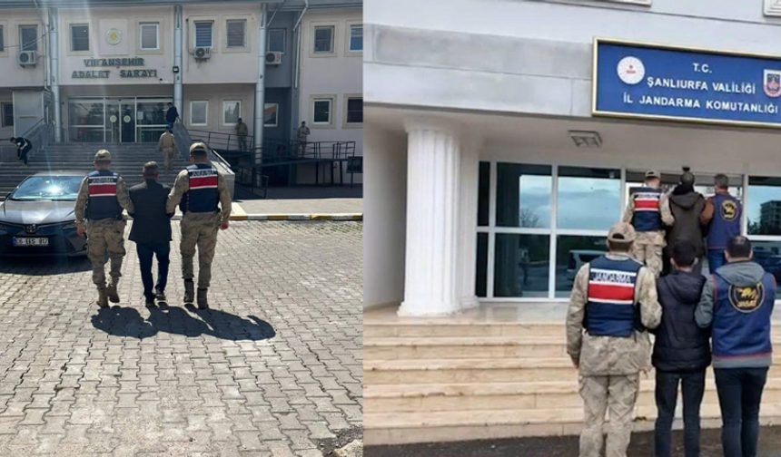 Şanlıurfa'da aranan hükümlüler jandarmadan kaçamadı