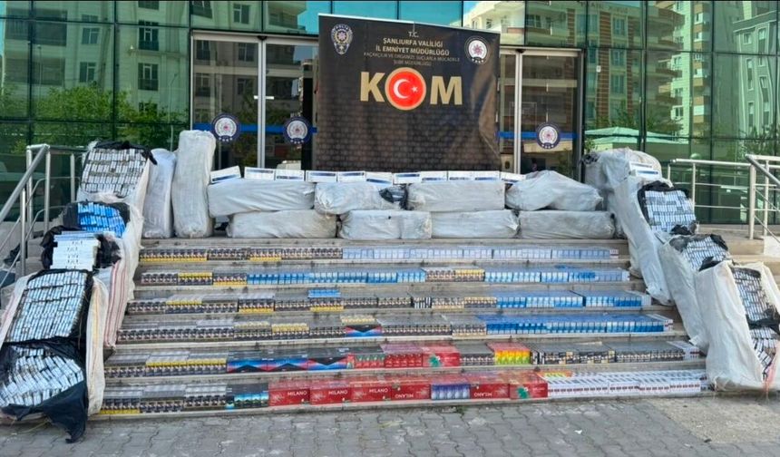 Şanlıurfa'da tır dorsesinden 40 bin paket kaçak sigara çıktı