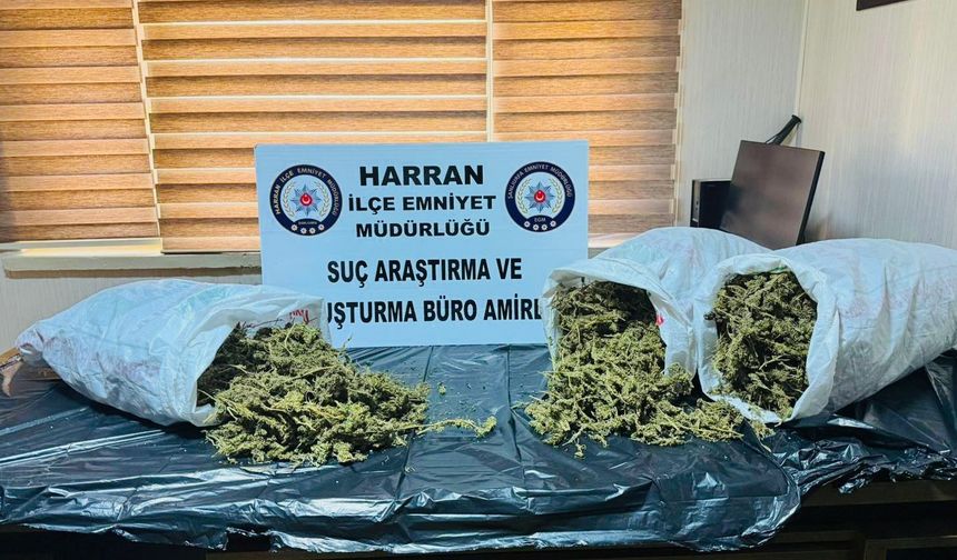 Şanlıurfa’da narkotik ekiplerinden başarılı operasyon