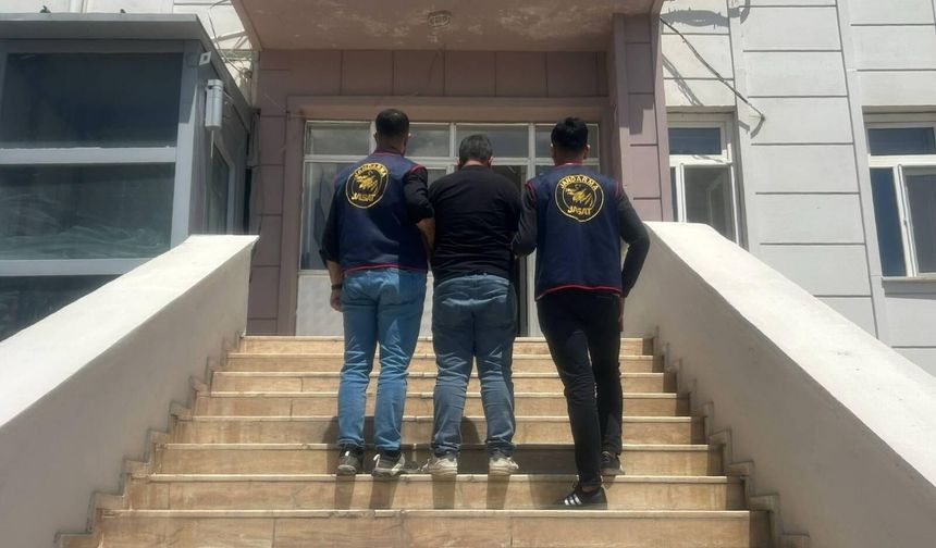 Şanlıurfa jandarması suçlulara göz açtırmıyor