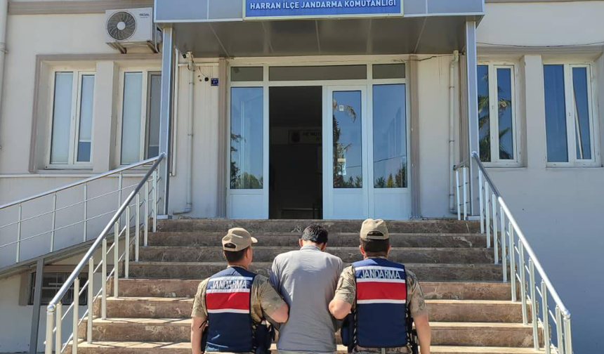 11 aydır aranıyordu, Harran'da yakalandı