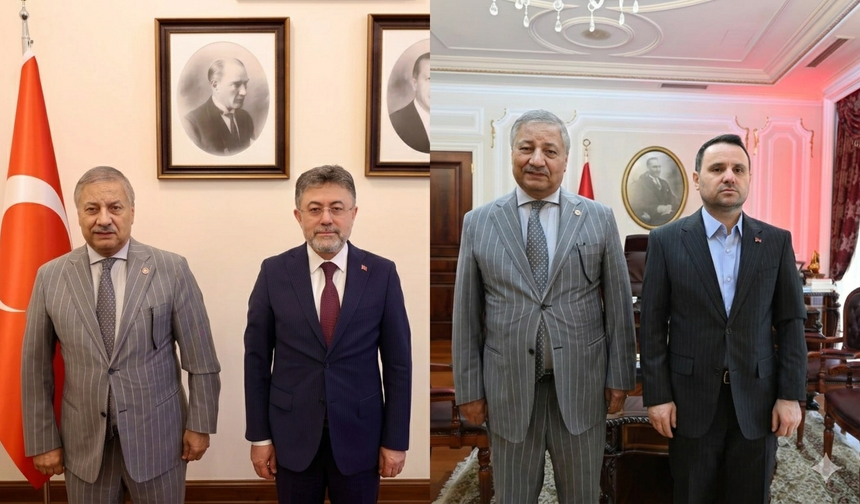 Pınarbaşı 2 bakanı ziyaret etti