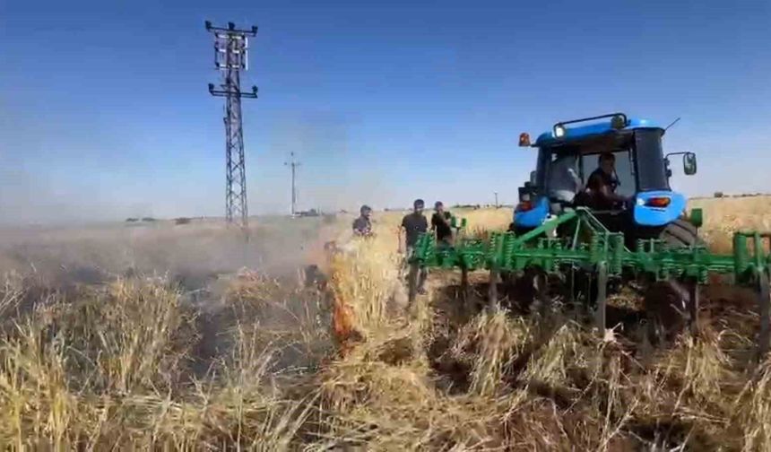 Urfa'da arpa ekili tarla kül oldu