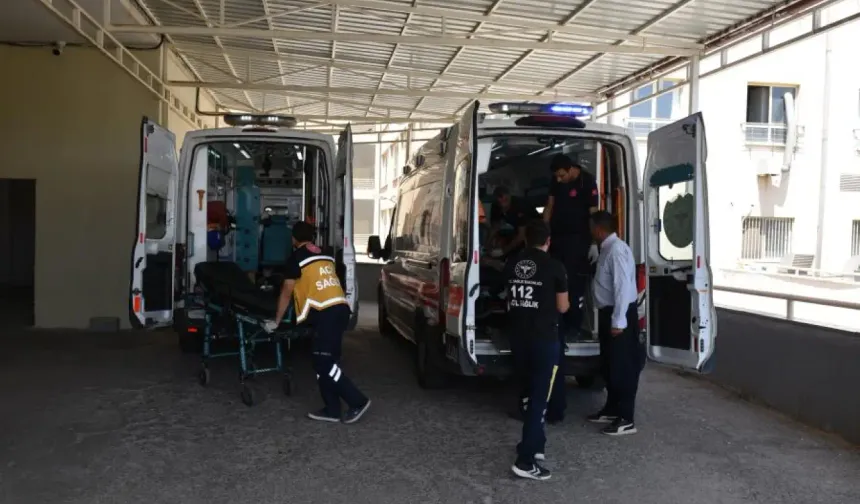 Haliliye’de iki otomobil çarpıştı:  7 yaralı