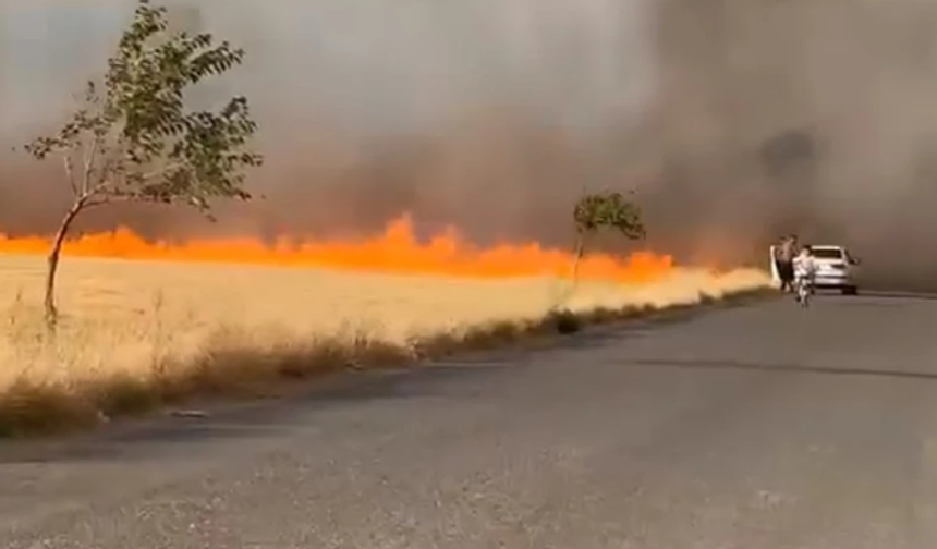 Şanlıurfa’da onlarca dönüm buğday ekili alan küle döndü
