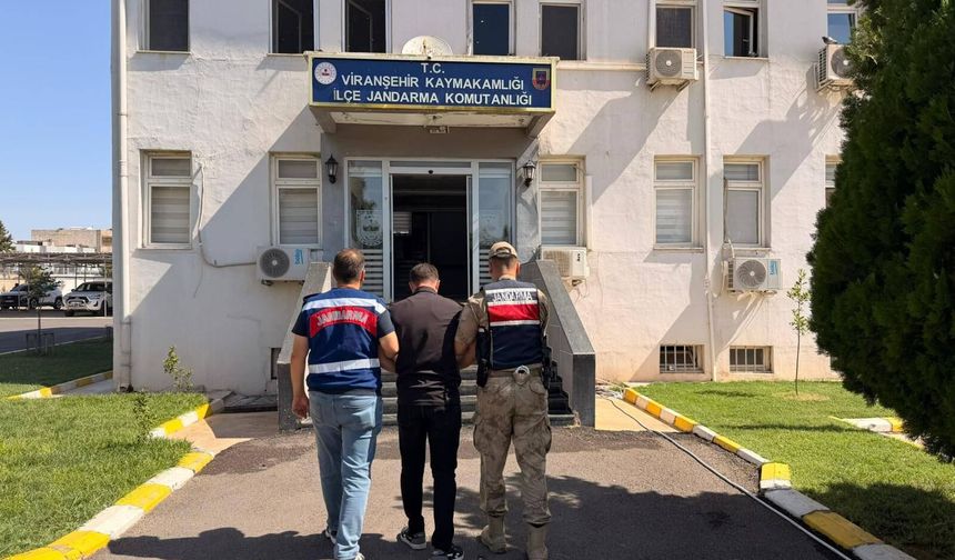 Viranşehir’de aranan hükümlü jandarmadan kaçamadı