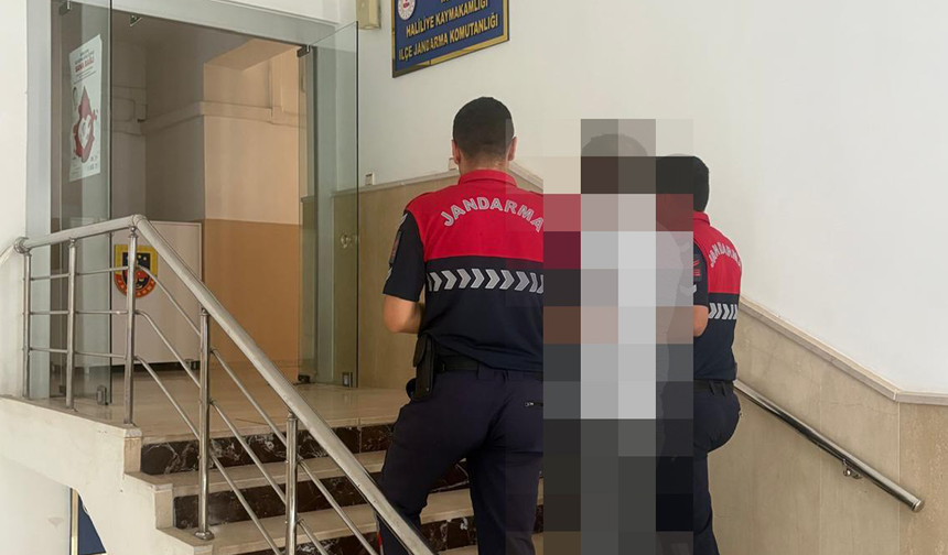 Jandarmadan başarılı operasyon: Hırsızlık hükümlüsü gözaltında