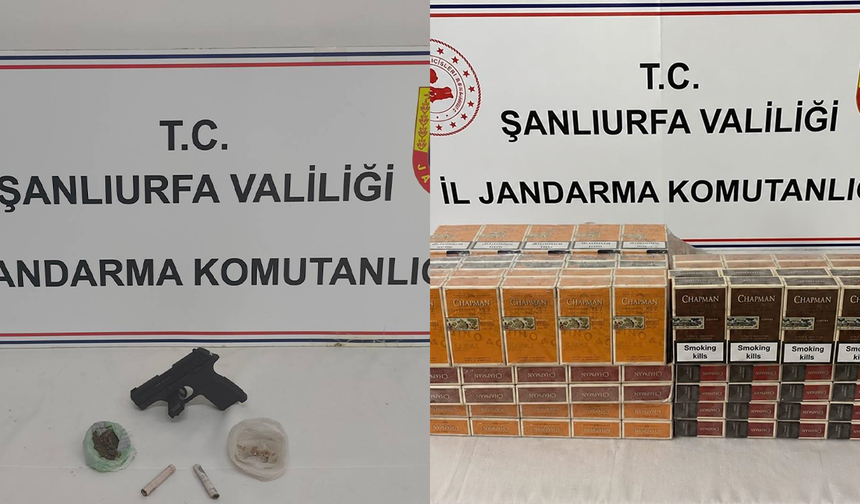 Jandarmadan Birecik ve Suruç'ta suç operasyonu